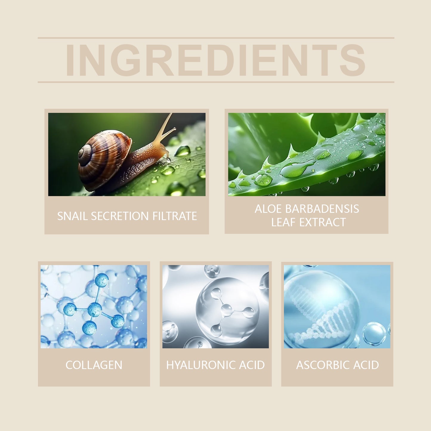 Hoygi Snail Mucin Serum – Hydrates, Moisturizes & Brightens Skin